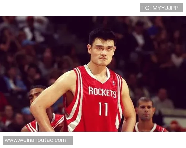 姚明在NBA的辉煌历程与战事回顾：从新秀到传奇的篮球之路