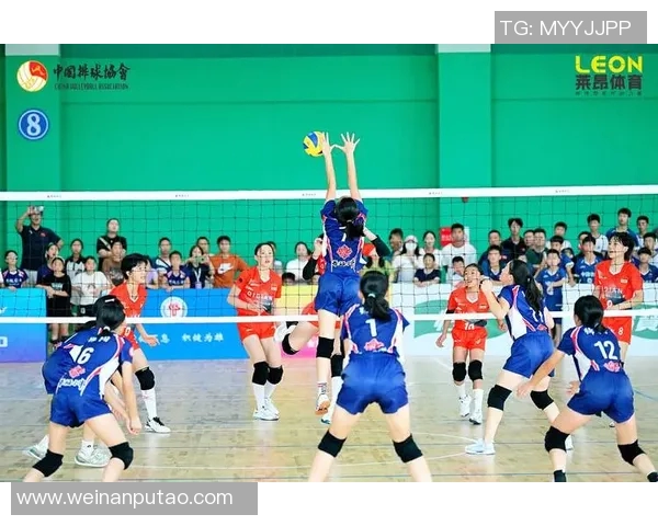 成都排球队在全国排球意识排行榜中荣登第九名展现出强劲实力与潜力