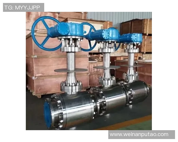 赛后分析:BLG与LNG在耐力对抗中的策略与表现探讨 赛后分析:BLG与LNG在耐力对抗中的策略与表现探讨